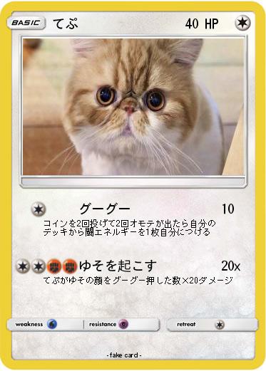 Pokemon てぷ