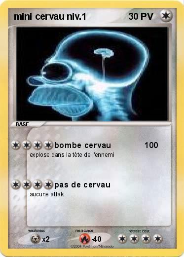 Pokemon mini cervau niv.1                    