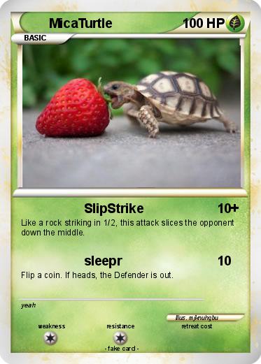 Pokemon MicaTurtle