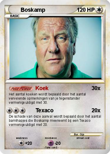 Pokemon Boskamp