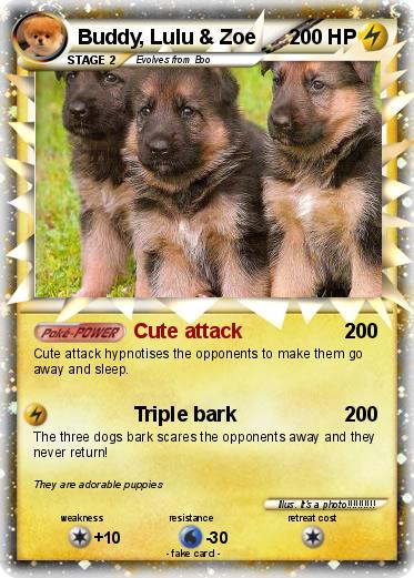 Pokemon Buddy, Lulu & Zoe