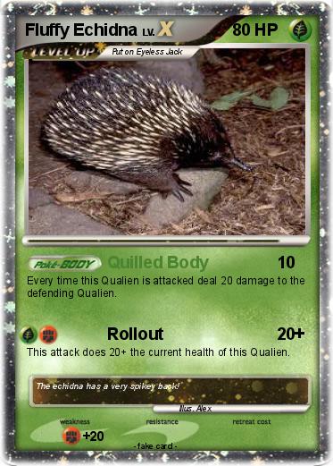 Pokemon Fluffy Echidna