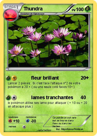 Pokemon Thundra
