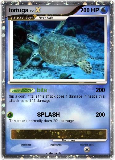 Pokemon tortuga