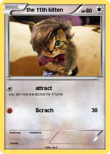 Pokemon the 11th kitten