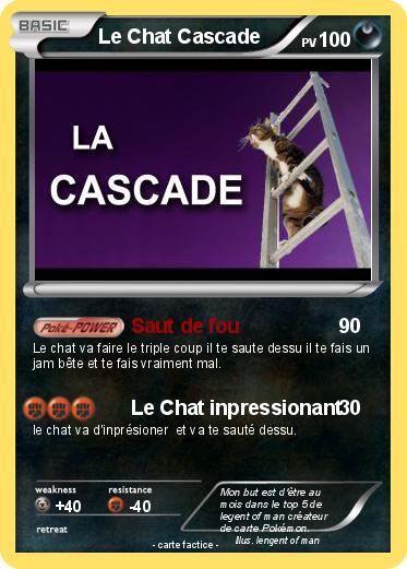 Pokemon Le Chat Cascade