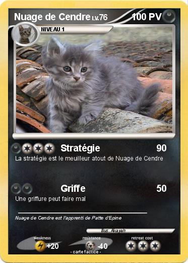 Pokemon Nuage de Cendre