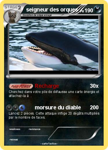 Pokemon seigneur des orques