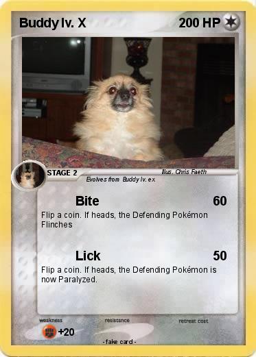 Pokemon Buddy lv. X