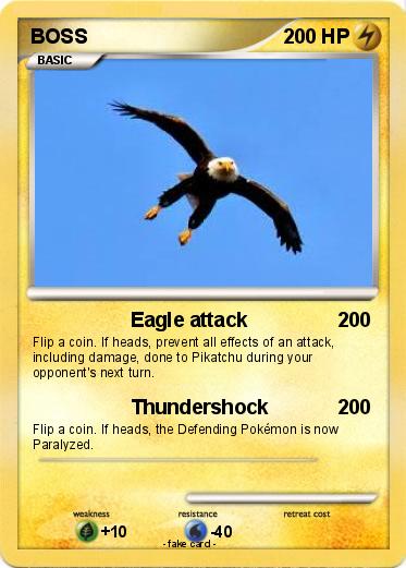Pokemon BOSS