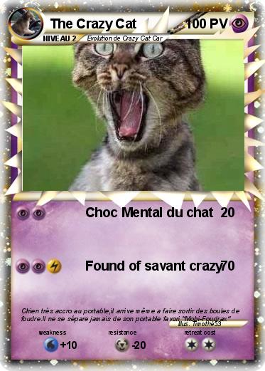 Pokemon The Crazy Cat