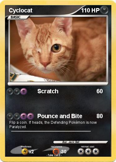 Pokemon Cyclocat