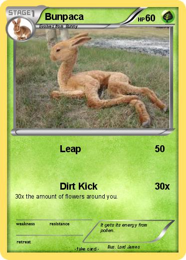 Pokemon Bunpaca