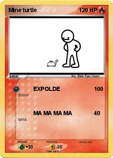 Pokemon Mine turtle