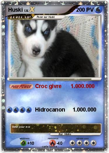 Pokemon Huski