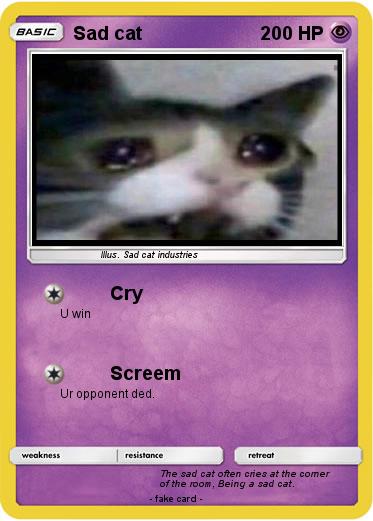Pokemon Sad cat