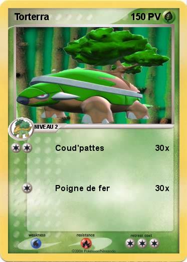Pokemon Torterra