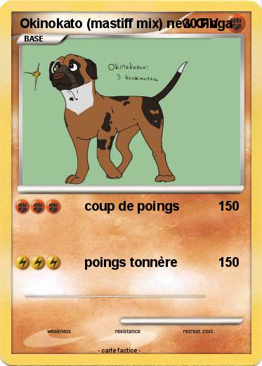 Pokemon Okinokato (mastiff mix) new Ginga