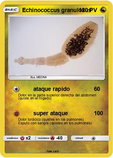 Pokemon Echinococcus granulosus