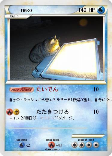 Pokemon neko