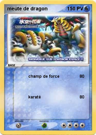 Pokemon meute de dragon
