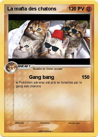Pokemon La mafia des chatons