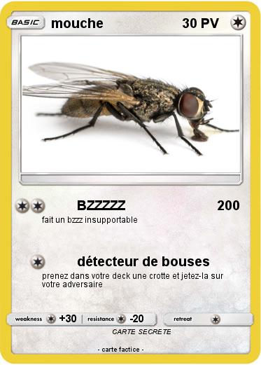 Pokemon mouche