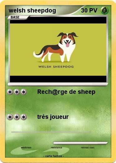 Pokemon welsh sheepdog
