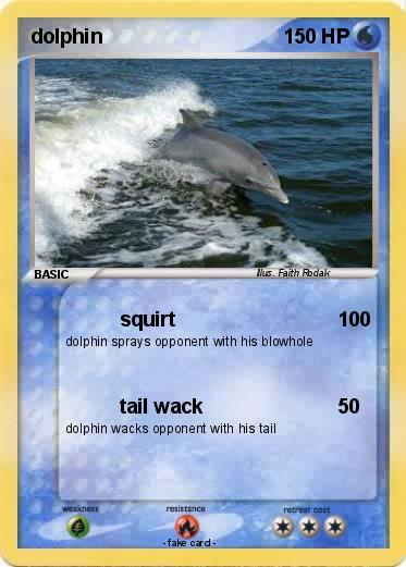 Pokemon dolphin