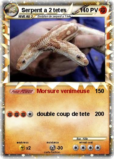 Pokemon Serpent a 2 tetes