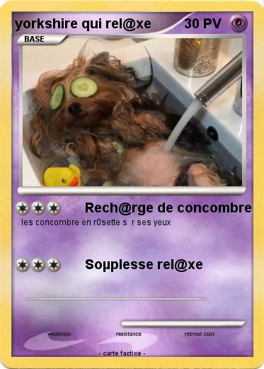 Pokemon yorkshire qui rel@xe