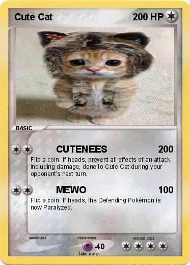Pokemon Cute Cat