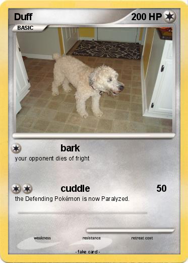 Pokemon Duff
