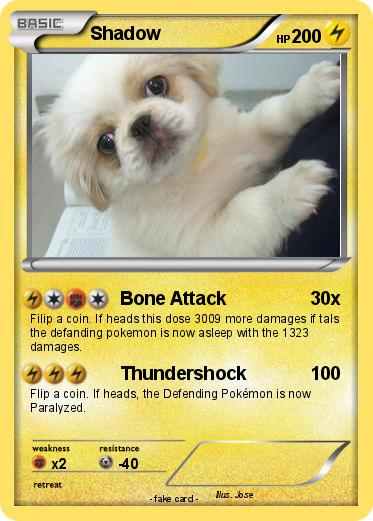 Pokemon Shadow