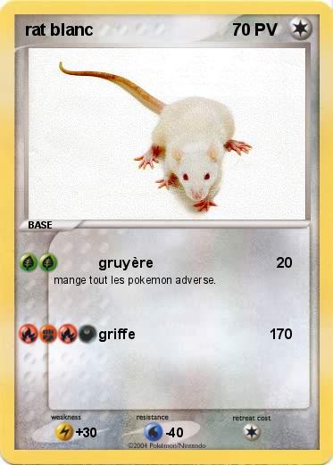 Pokemon rat blanc