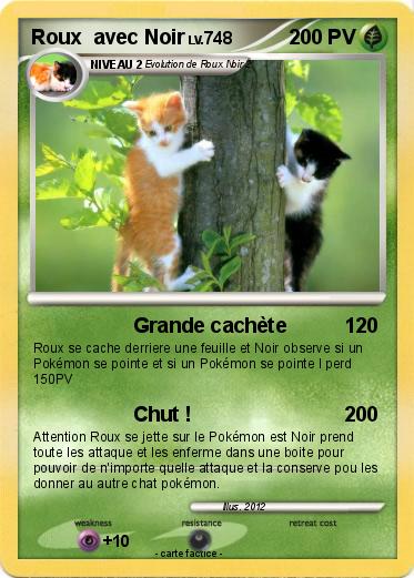 Pokemon Roux  avec Noir