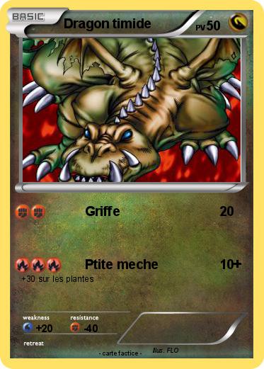 Pokemon Dragon timide