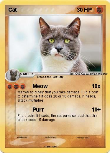 Pokemon Cat