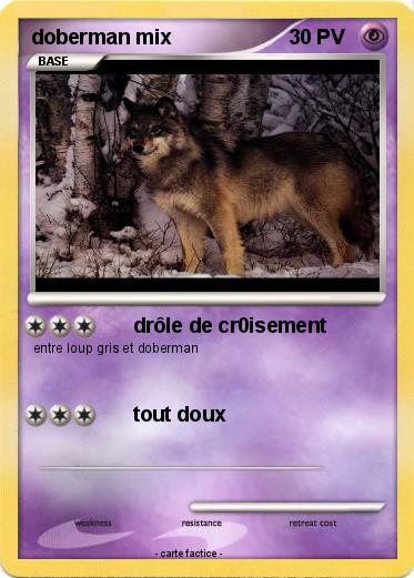 Pokemon doberman mix