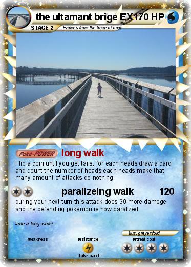 Pokemon the ultamant brige EX