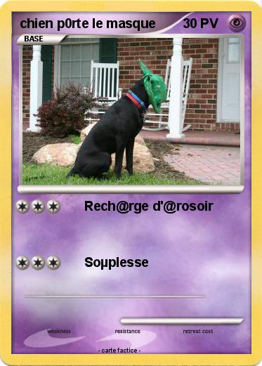 Pokemon chien p0rte le masque