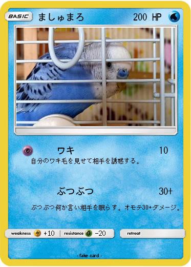 Pokemon ましゅまろ