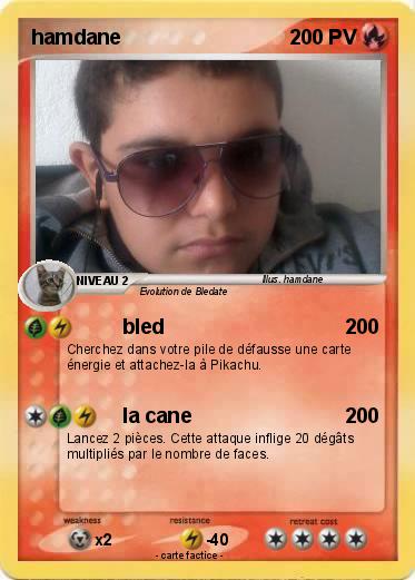 Pokemon hamdane