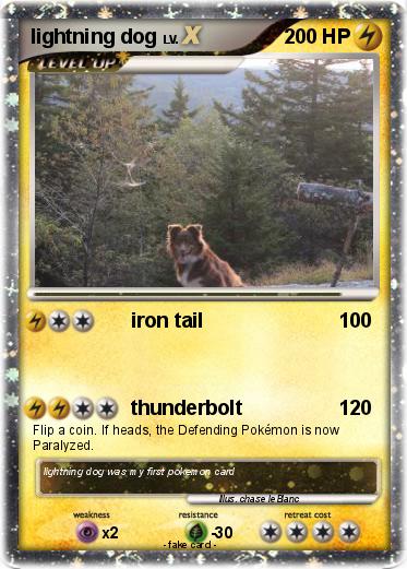 Pokemon lightning dog