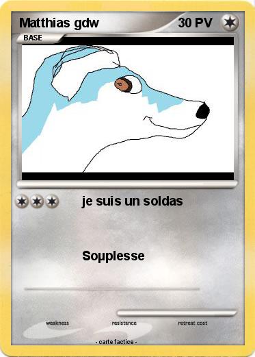 Pokemon Matthias gdw