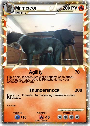Pokemon Mr.meteor