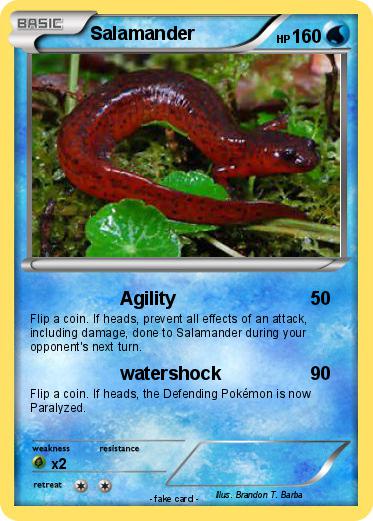 Pokemon Salamander
