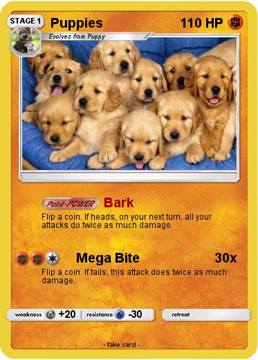Pokemon Puppies