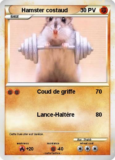 Pokemon Hamster costaud