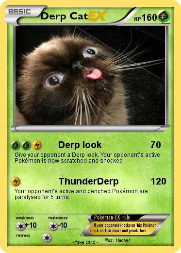 Pokemon Derp Cat